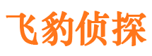 新疆私人侦探